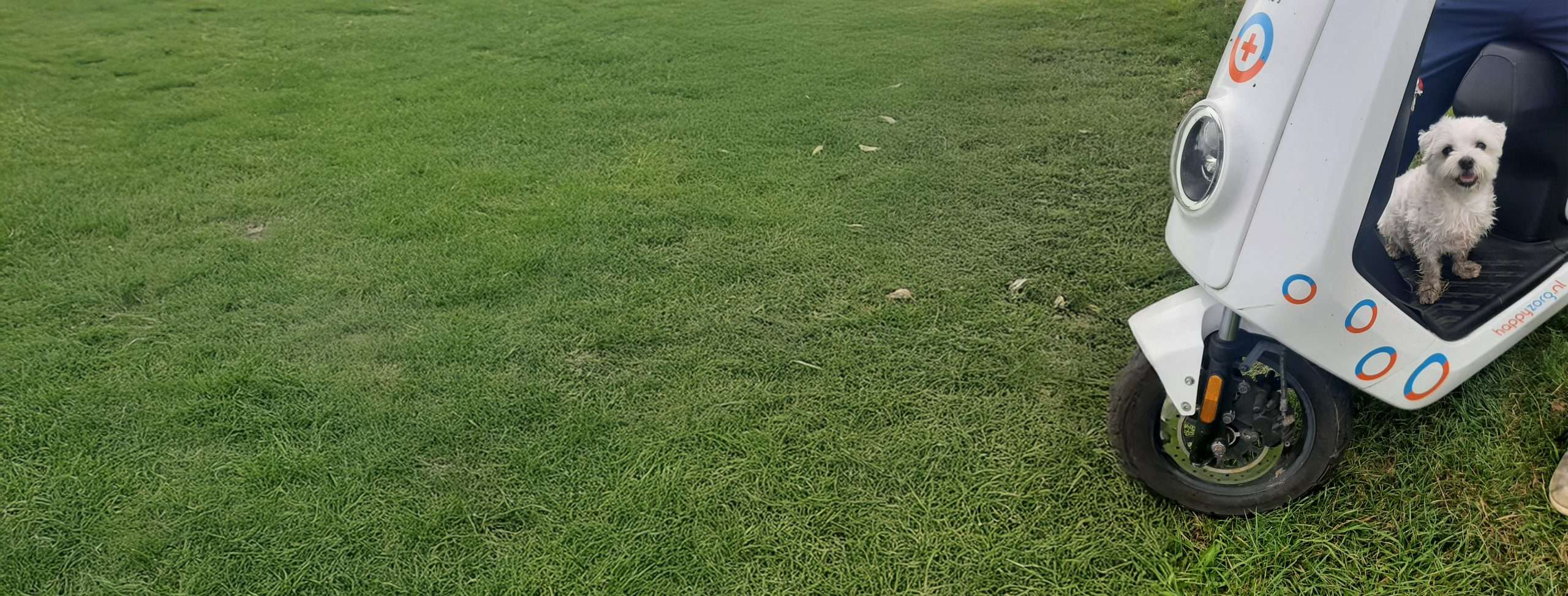 Natalie Drobé van HappyZorg (wijkteam Nijmegen-Oost)