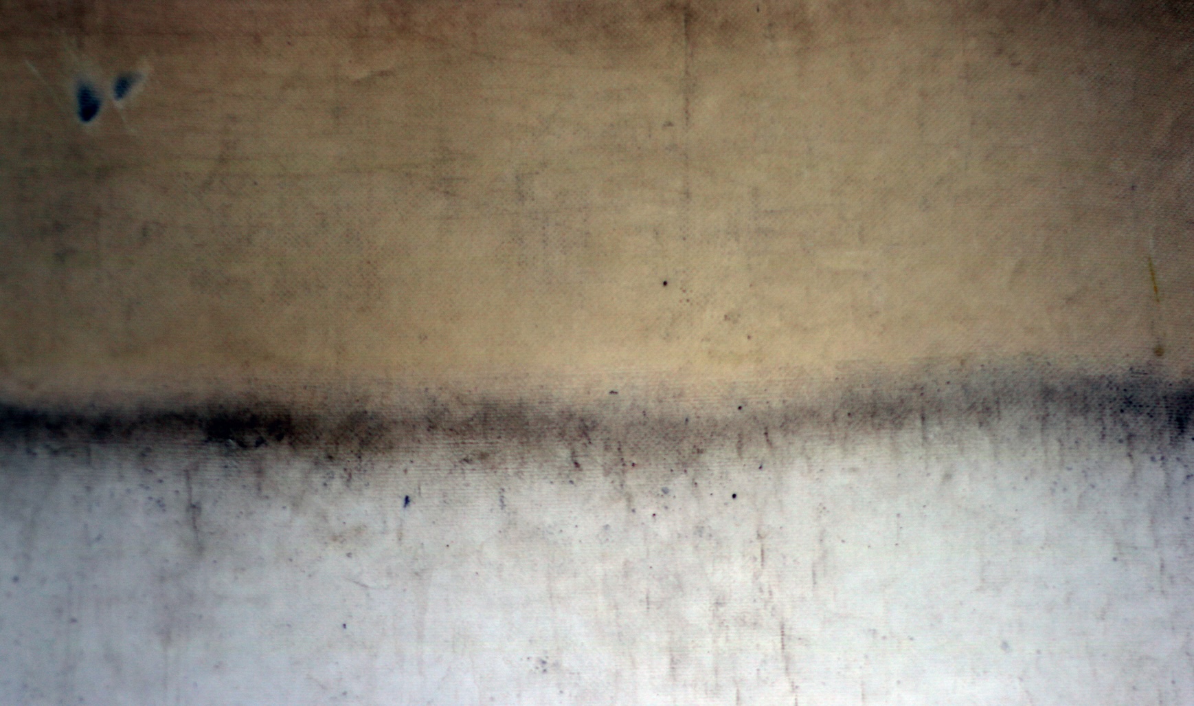 Sandra van Nomade Psychologie